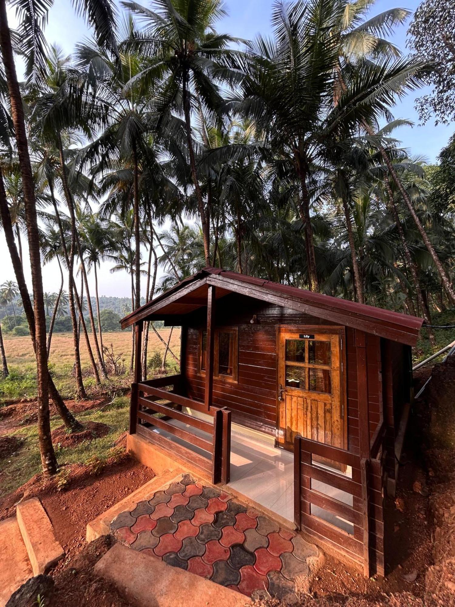 Mountain Breeze Wooden Guest house Agonda